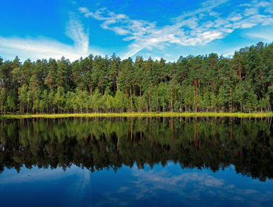 spływy kajakowe  - konkurs-2006-rozstrzygniety