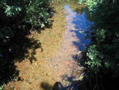 spływy kajakowe  - konkurs-2006-rozstrzygniety