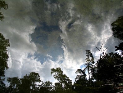 spływy kajakowe  - konkurs-2006-rozstrzygniety