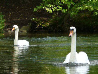 spływy kajakowe  - konkurs-2006-rozstrzygniety