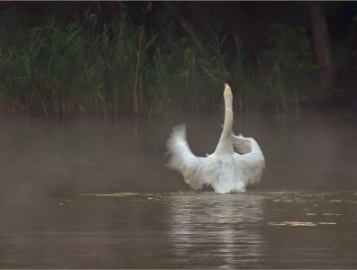 spływy kajakowe  - konkurs-2006-rozstrzygniety