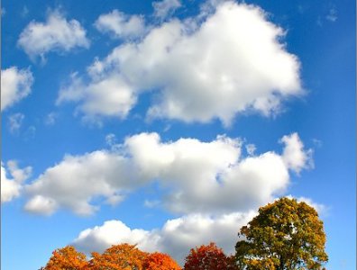 spływy kajakowe  - konkurs-2006-rozstrzygniety