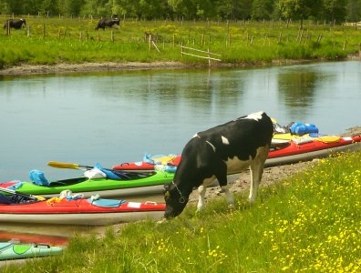 spływy kajakowe  - konkurs-2006-rozstrzygniety