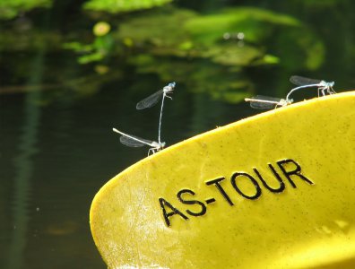 spływy kajakowe  - konkurs-2006-rozstrzygniety