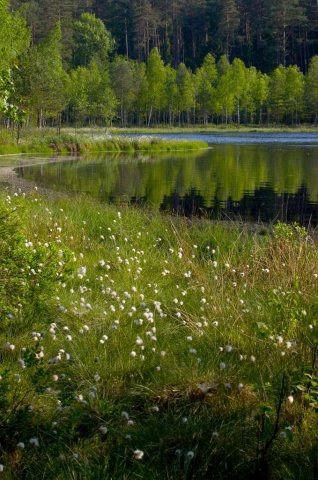 Brak tytułu