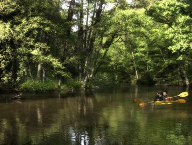 spływy kajakowe  - krajobrazy