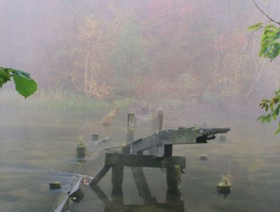 spływy kajakowe  - krajobrazy