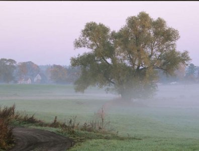 spływy kajakowe  - krajobrazy