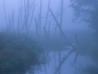 spływy kajakowe  - krajobrazy