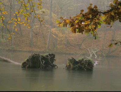 spływy kajakowe  - krajobrazy