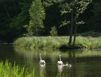 Zdjęcia z naszych spływów kajakowych - krajobrazy