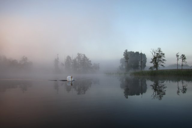 Brak tytułu