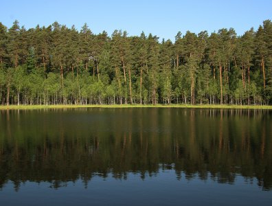 spływy kajakowe  - krutynia-krajobrazy