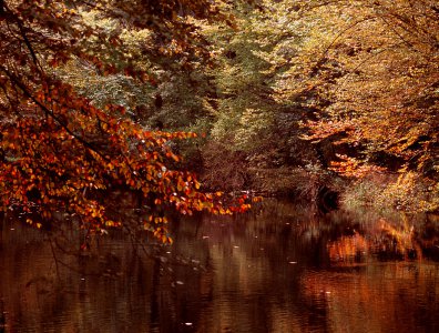 spływy kajakowe  - krutynia-krajobrazy