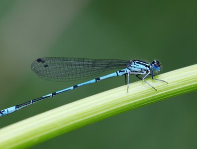 spływy kajakowe  - krutynia-owady