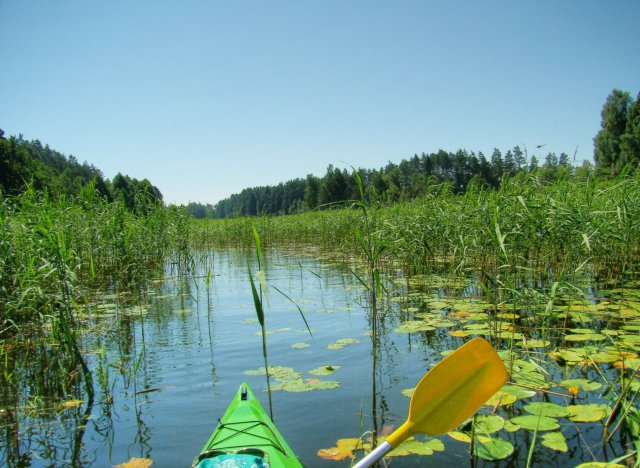 Brak tytułu