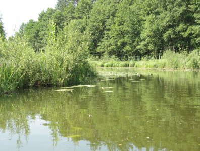spływy kajakowe  - splyw-krutynia-2007