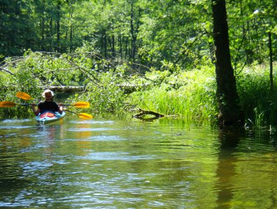 spływy kajakowe  - splyw-krutynia-2007