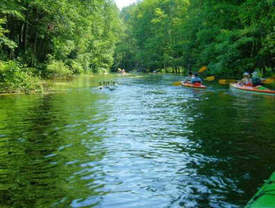spływy kajakowe  - splyw-krutynia-2007