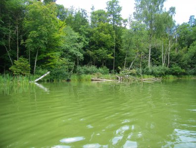 spływy kajakowe  - splyw-krutynia-2007
