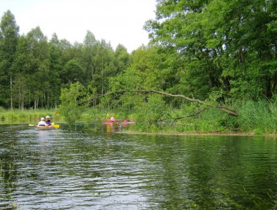 spływy kajakowe  - splyw-krutynia-2007