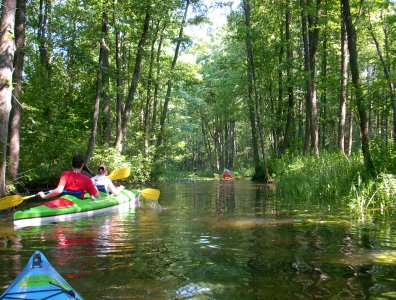 spływy kajakowe  - splyw-krutynia-2007