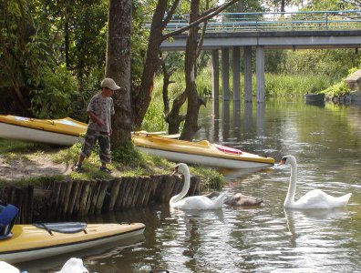 spływy kajakowe  - krutynia-05-12-08-2007