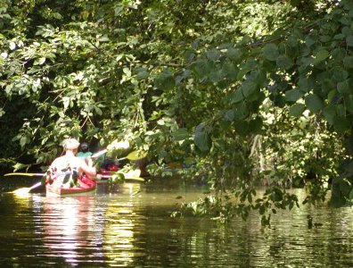 spływy kajakowe  - krutynia-05-12-08-2007