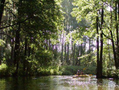 spływy kajakowe  - krutynia-05-12-08-2007