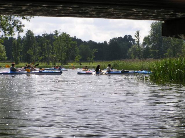 Brak tytułu