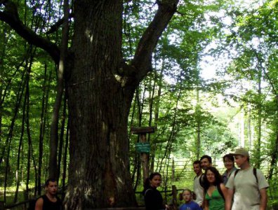 spływy kajakowe  - krutynia-1-10-08-2005