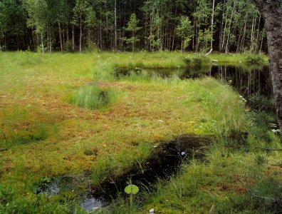 spływy kajakowe  - krutynia-1-10-08-2005