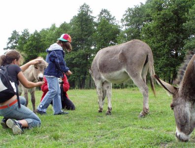spływy kajakowe  - krutynia-1-10-08-2005