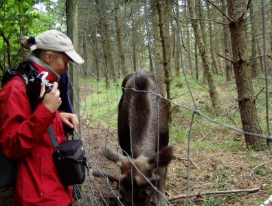 spływy kajakowe  - krutynia-1-10-08-2005