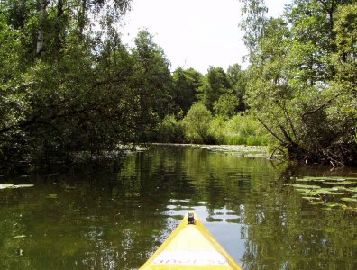spływy kajakowe  - krutynia-1-10-08-2005