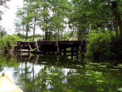 spływy kajakowe  - krutynia-1-10-08-2005