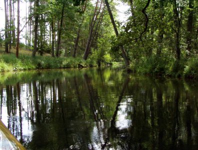 spływy kajakowe  - krutynia-1-10-08-2005