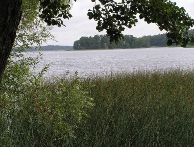spływy kajakowe  - krutynia-1-10-08-2005