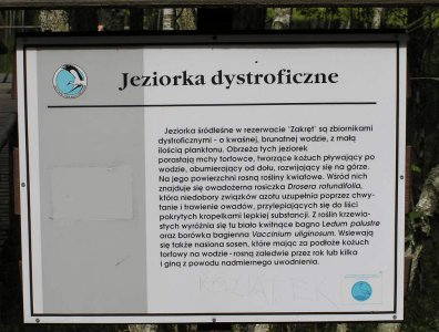 spływy kajakowe  - krutynia-1-10-08-2005
