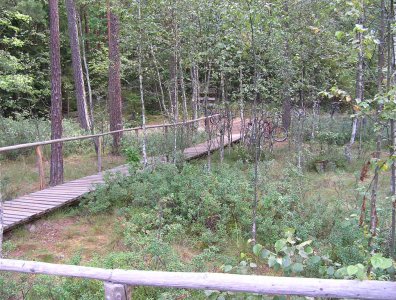spływy kajakowe  - krutynia-1-10-08-2005