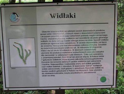 spływy kajakowe  - krutynia-1-10-08-2005