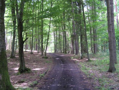 spływy kajakowe  - krutynia-1-10-08-2005