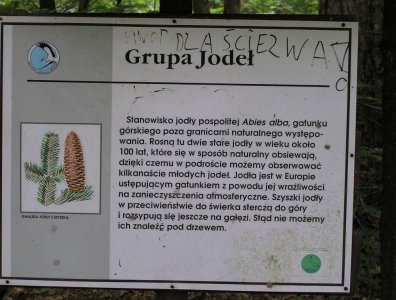 spływy kajakowe  - krutynia-1-10-08-2005