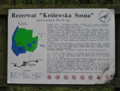 spływy kajakowe  - krutynia-1-10-08-2005