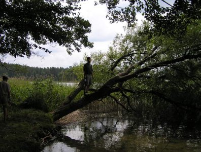 spływy kajakowe  - krutynia-1-10-08-2005