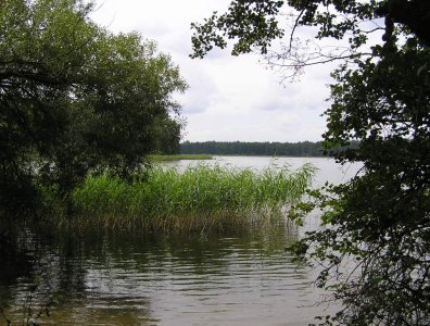 spływy kajakowe  - krutynia-1-10-08-2005