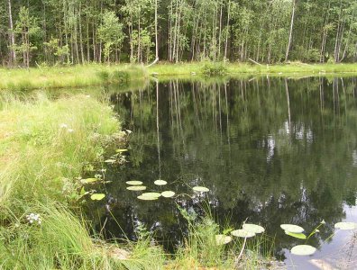 spływy kajakowe  - krutynia-1-10-08-2005