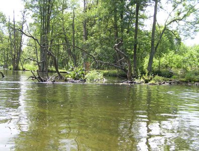 spływy kajakowe  - krutynia-1-10-08-2005