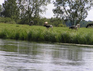 spływy kajakowe  - krutynia-1-10-08-2005