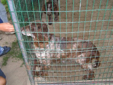 spływy kajakowe  - krutynia-1-10-08-2005